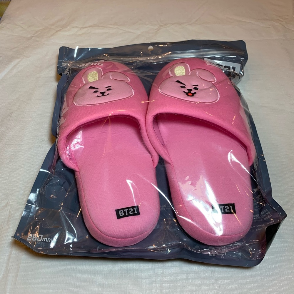 Official BT21 X Home Plus Applique indoor Slipper - Picture 8 of 9